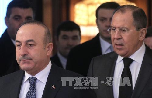 Peace talk for Syria to be held in Kazakhstan in late January - ảnh 1